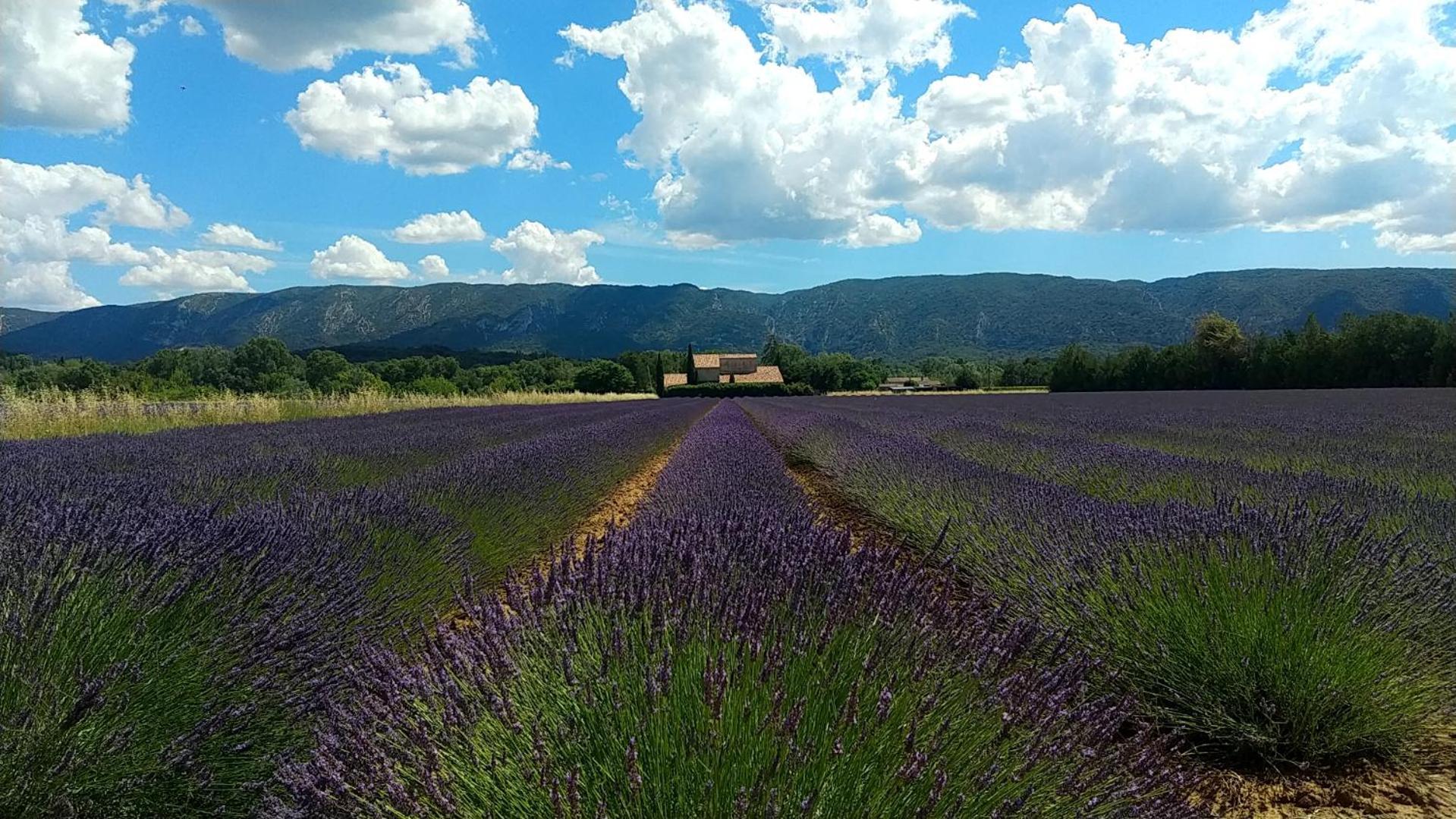 Le Mas De Roussillon Roussillon en Isere Exterior foto