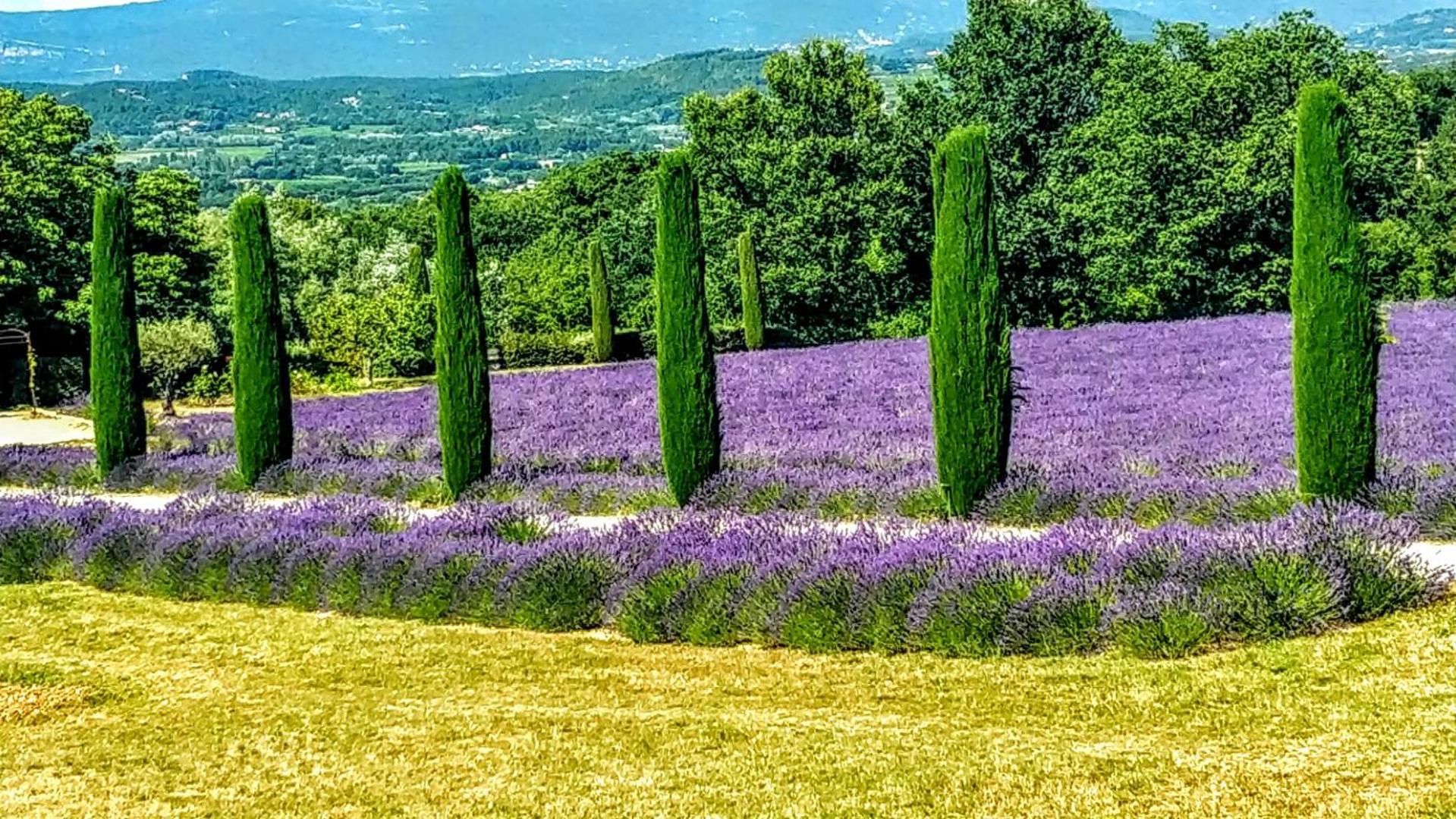 Le Mas De Roussillon Roussillon en Isere Exterior foto
